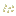 pumpkin_seeds.png