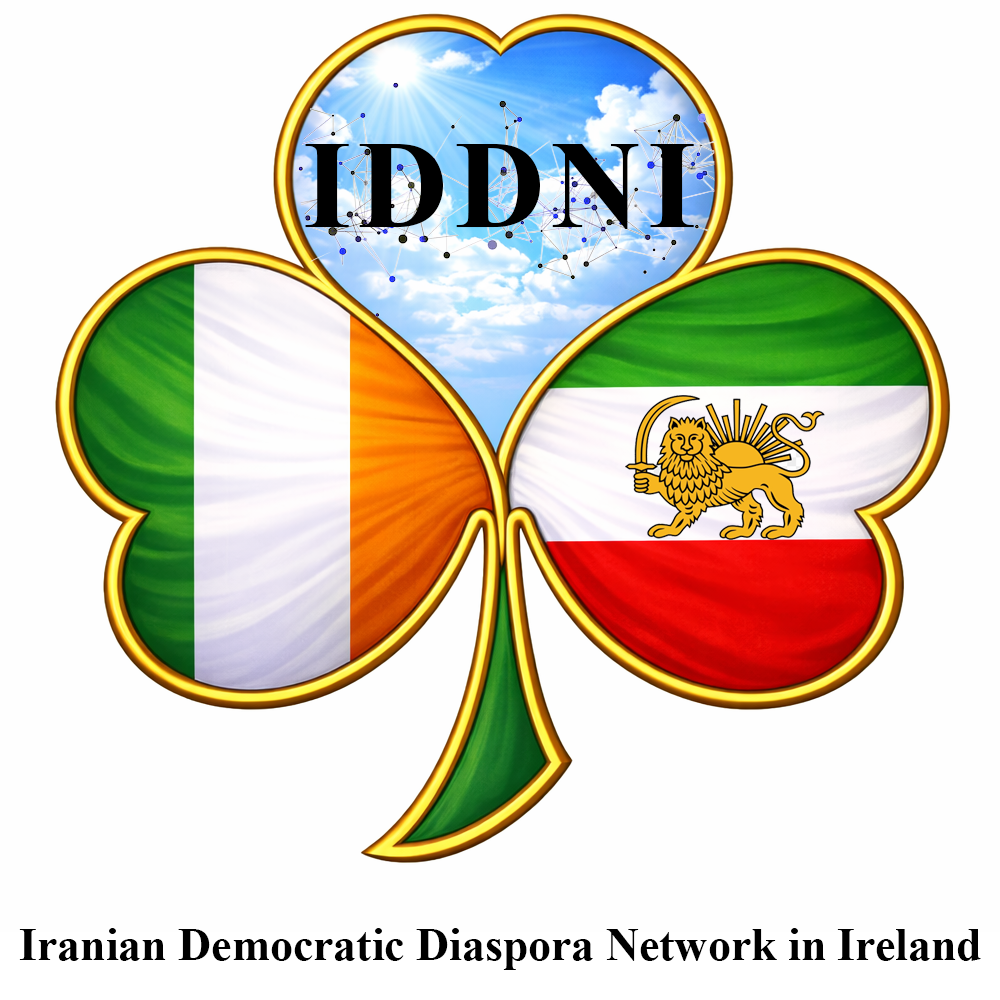 IDDNI Logo