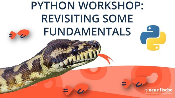 Python workshop, revisiting some fundamentals