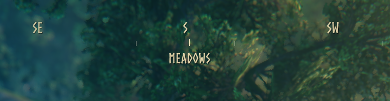 Compass