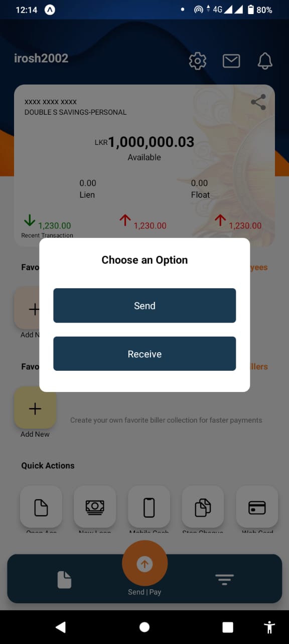 Send/Pay Option