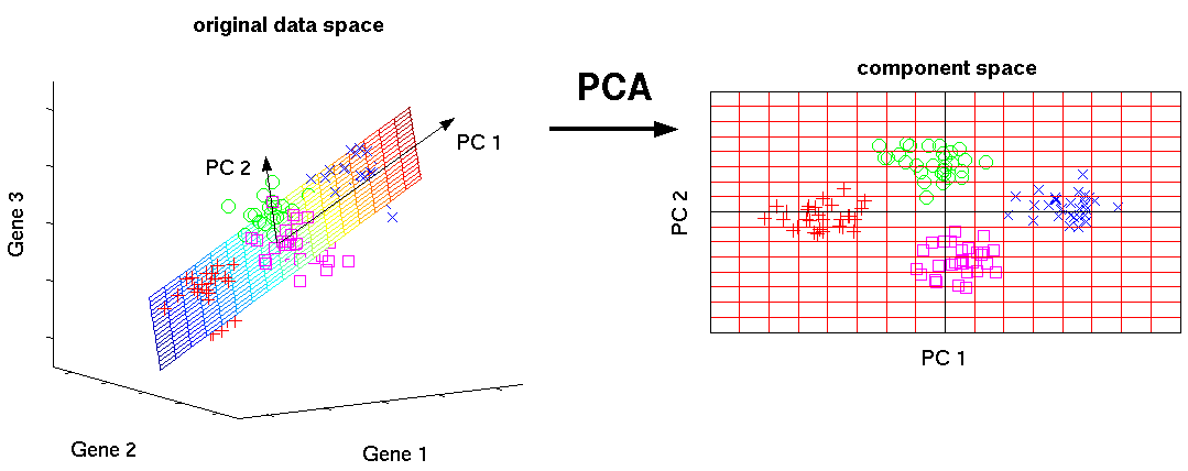 principal component analysis