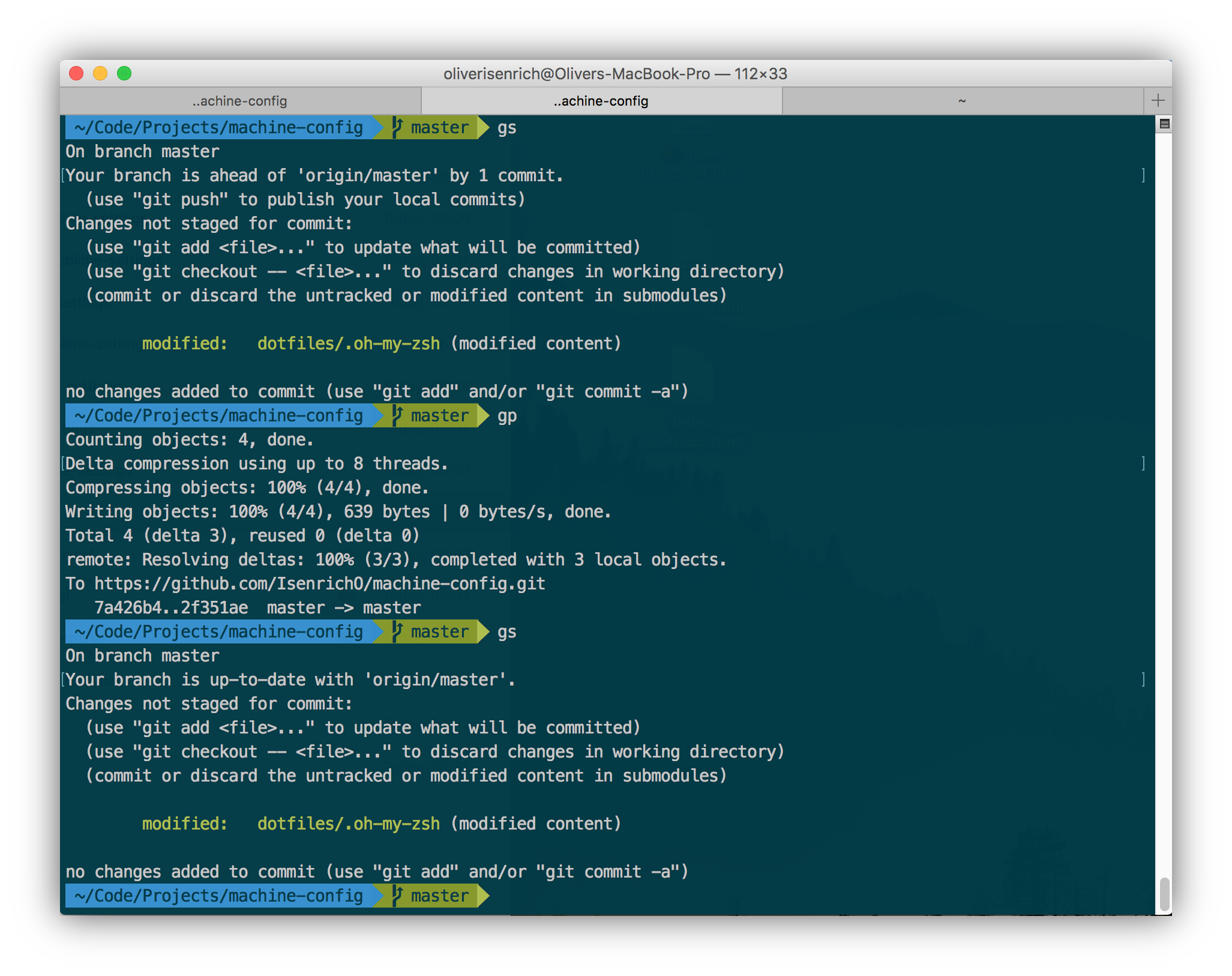 My Terminal setup is derived from the awesome Agnoster theme for ZShell.