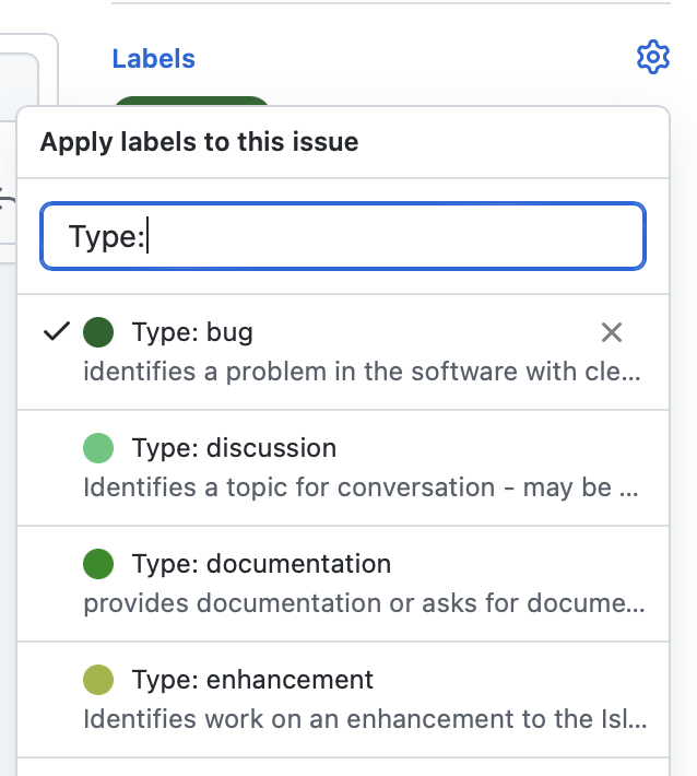 Labels on the right sidebar of Github issue creation