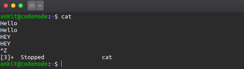 showing output of cat command