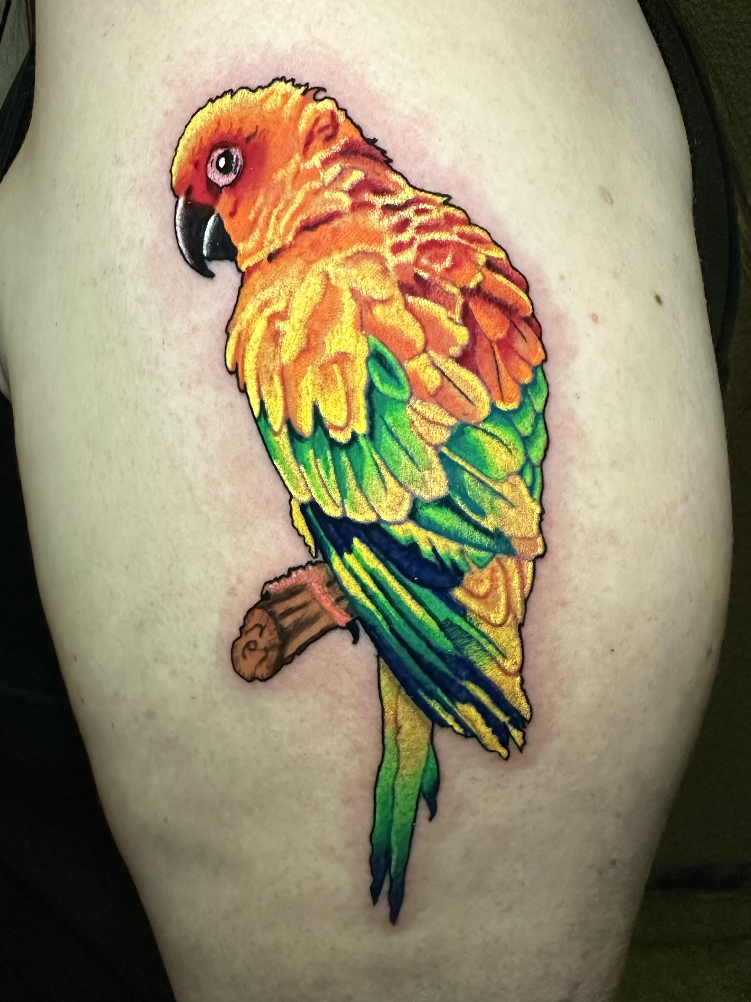 Color Tattoo By Lindsey