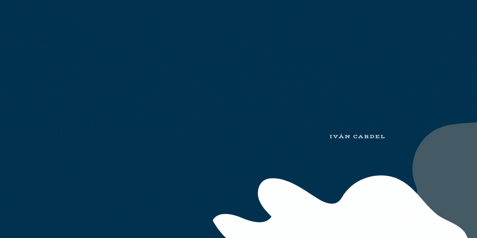 I am a web developer