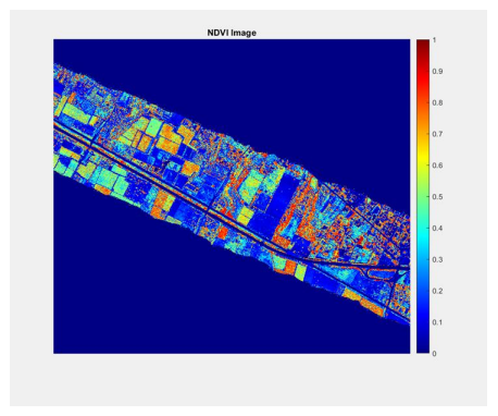 NDVI Index Image