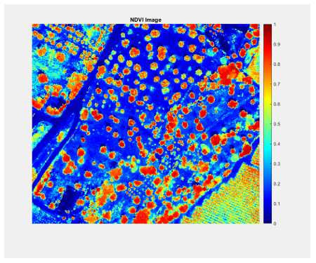 Zoomed NDVI Index Image