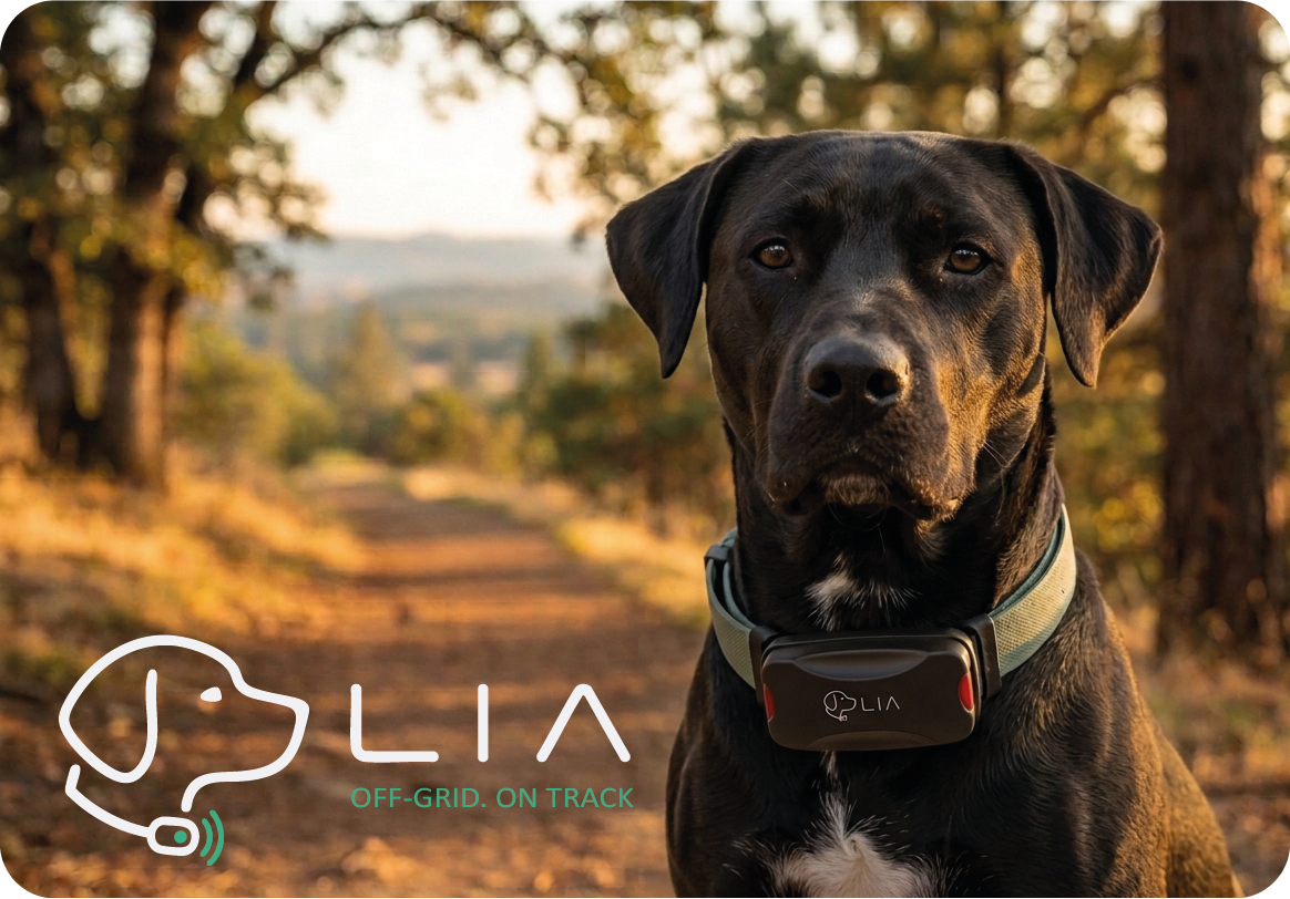 LIA demo video — click to watch on YouTube