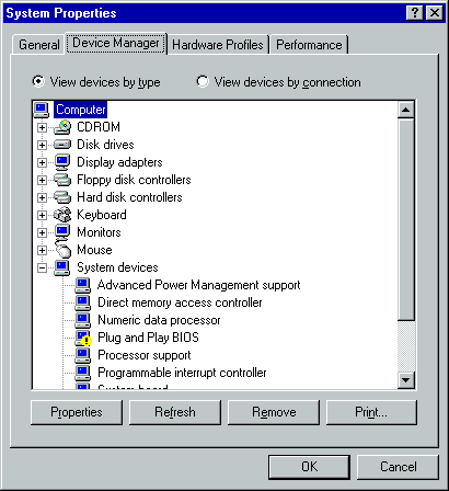 QEMU PCI: Plug and Play BIOS