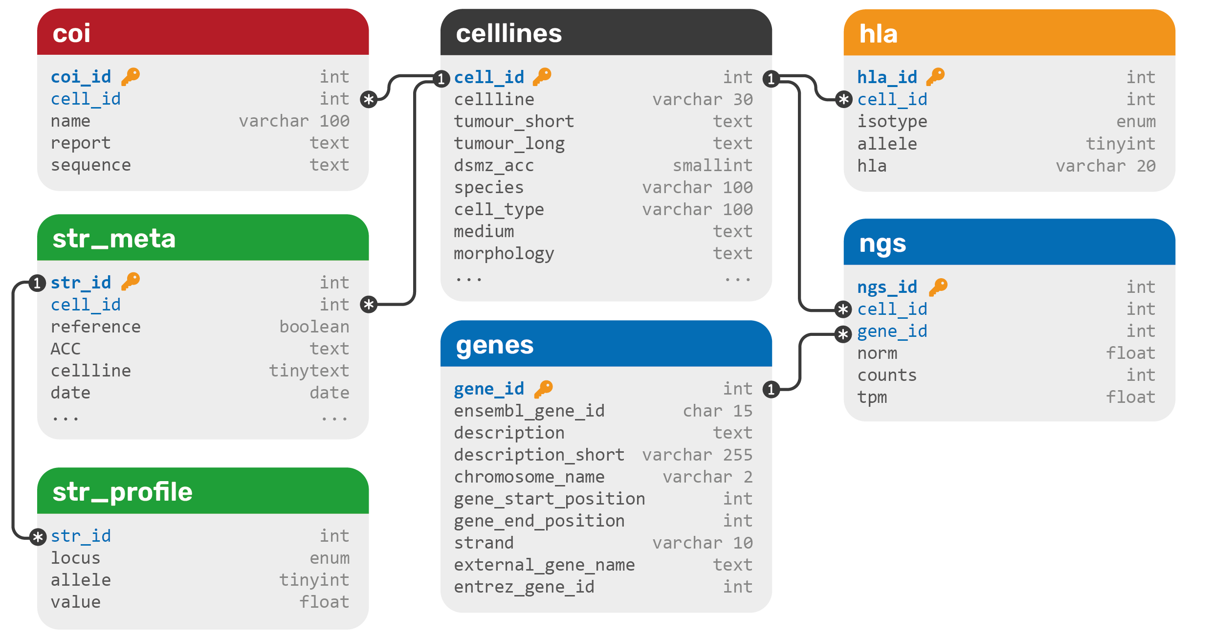 Database schema