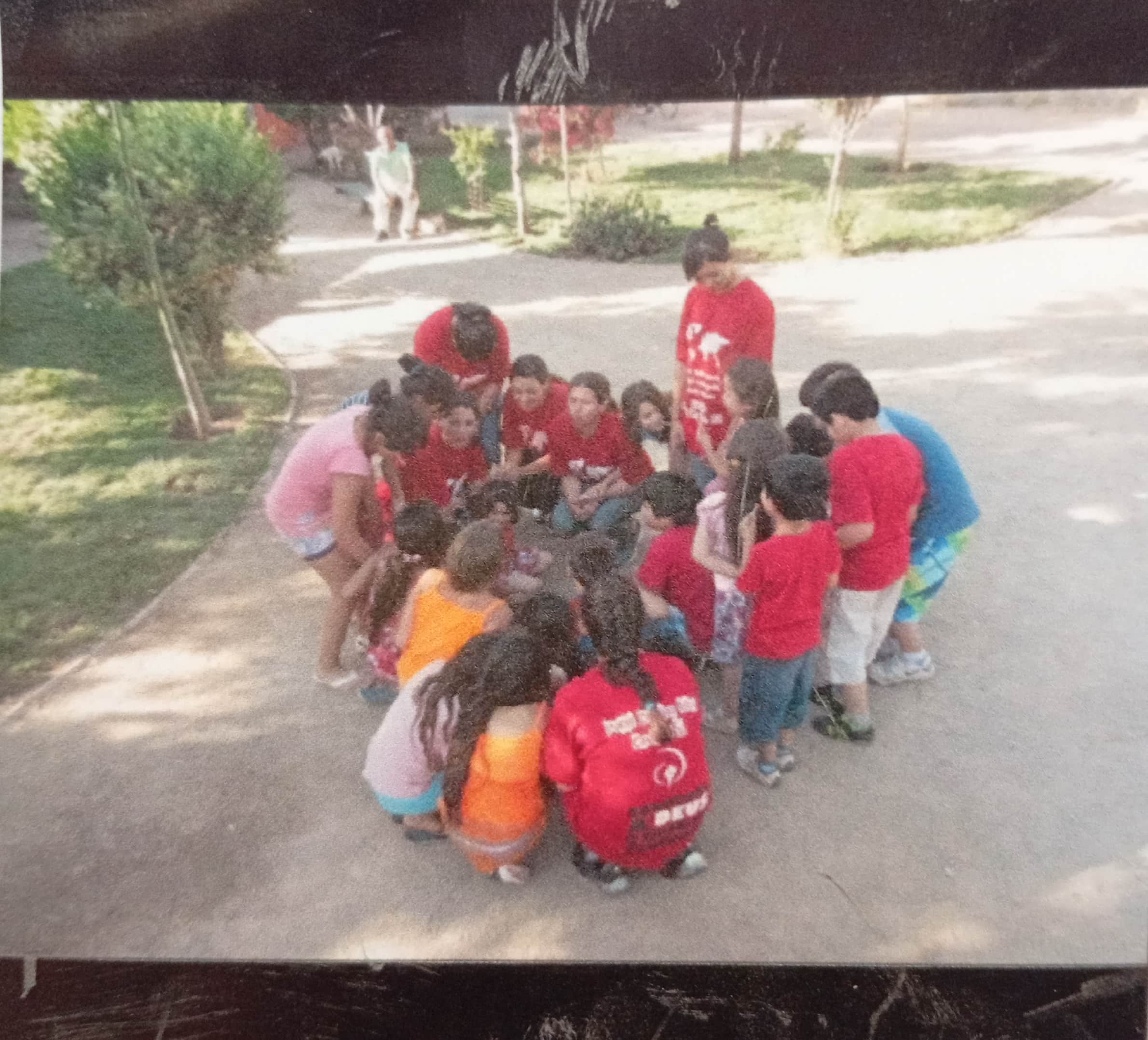 ETED 2011