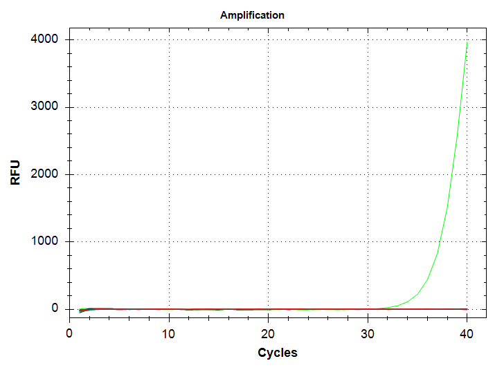 CAct amplification plot. Green line is 1000pg input DNA and corresponds to a Cq value of ~37.