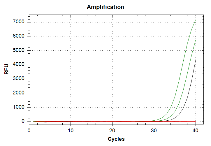 CAct amplification plot. Green lines are 10,000pg input DNA and corresponds to Cq values of ~33 and ~35. Black line is 1,000pg input DNA and corresponds to a Cq value of ~37.