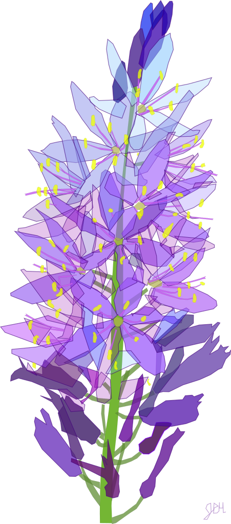 camas-sketch-by-jph