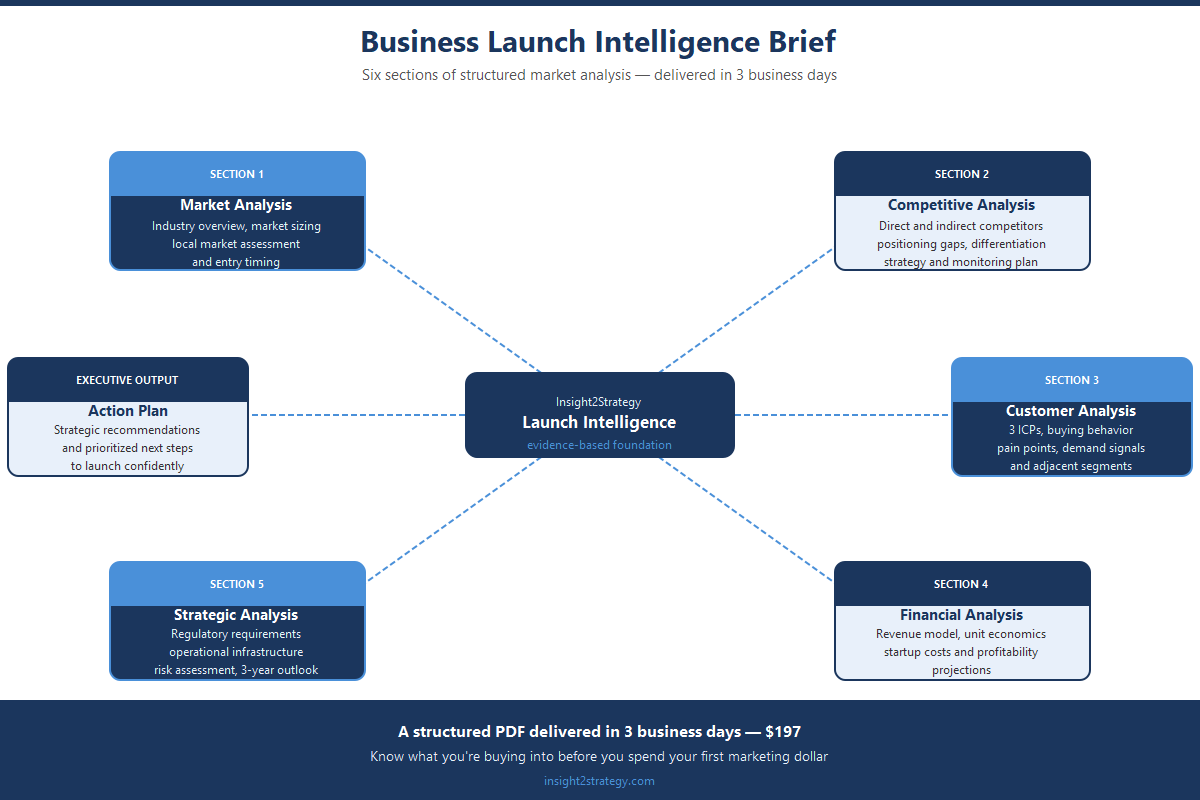 Business Launch Intelligence Brief framework showing six structured sections: market analysis, competitive analysis, customer analysis, financial analysis, strategic analysis, and action plan