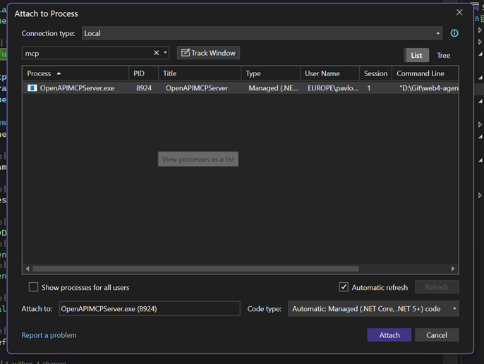 Visual Studio Attach to Process