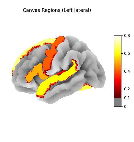 Brain regions