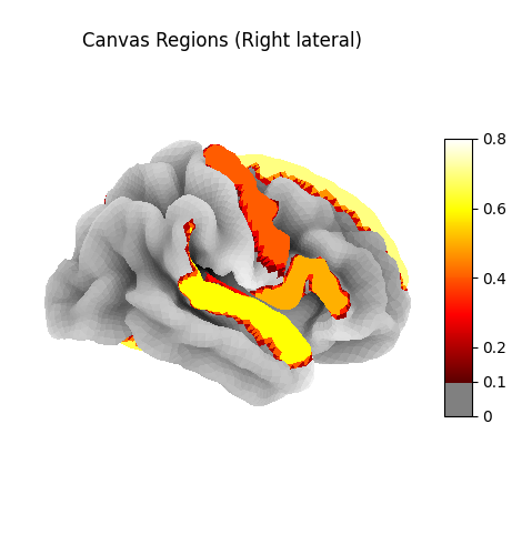 Brain regions