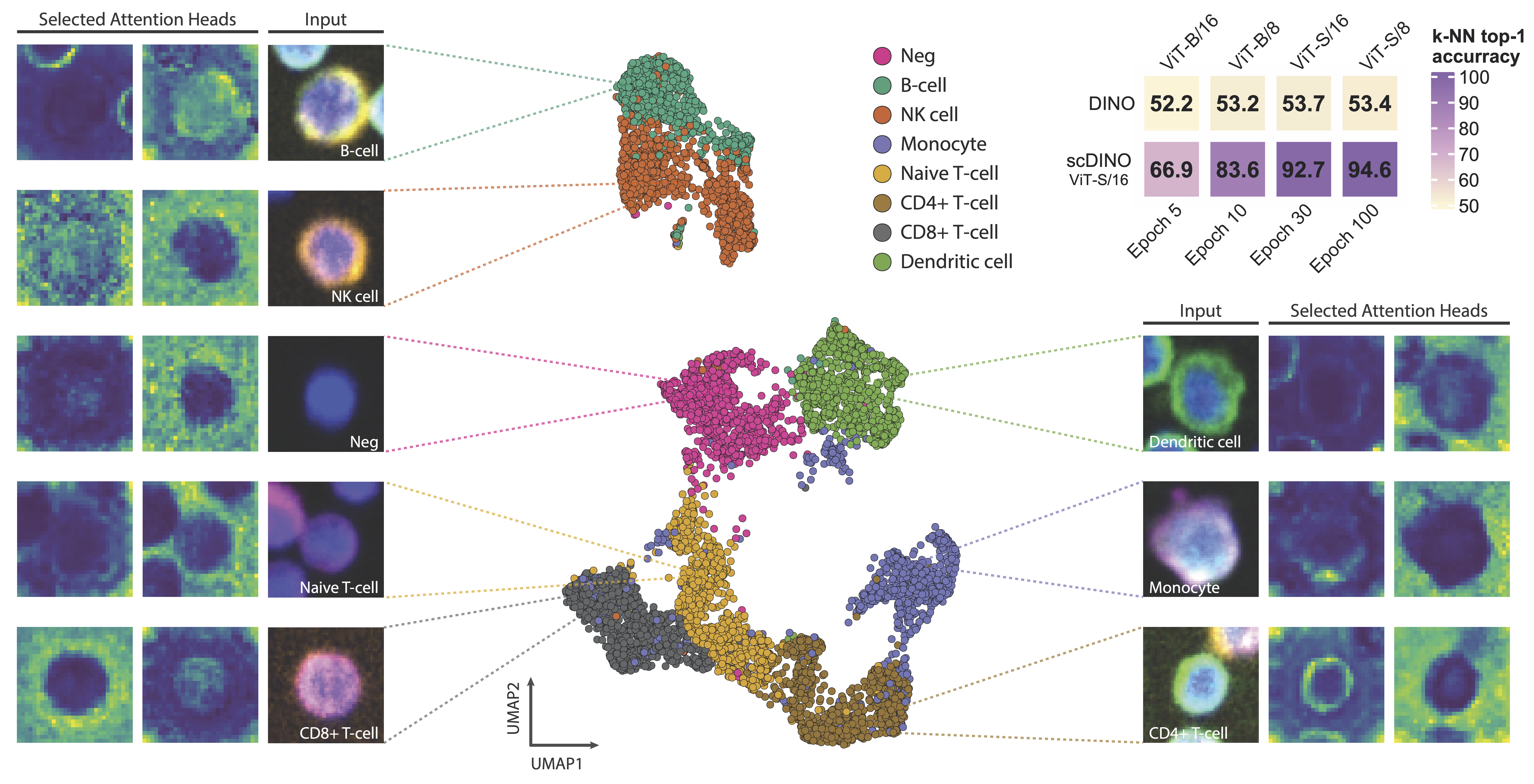 immunocell_plot