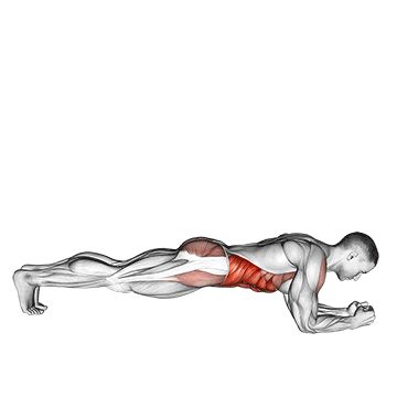 gainage rotation tennis