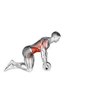 ab wheel rollout