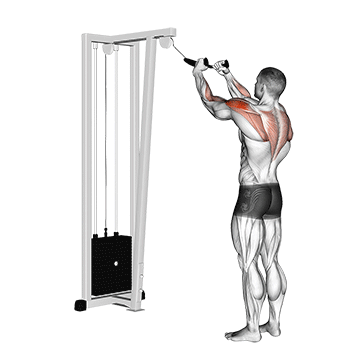 face pull golf