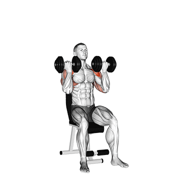 developpe arnold