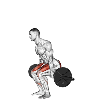 hack squat
