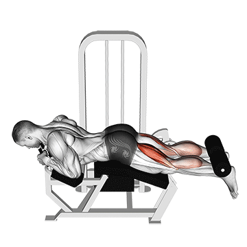 leg curl allonge