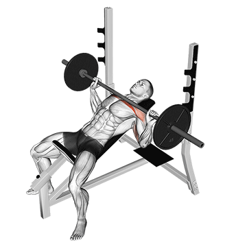 developpe incline barre