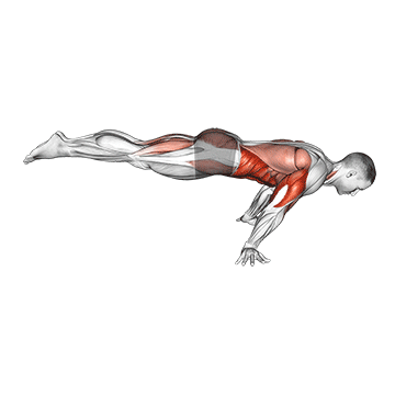 pseudo planche push up