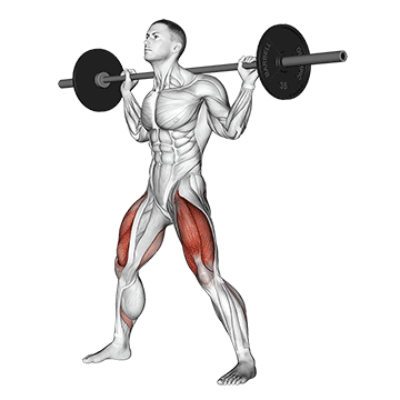 squat barre