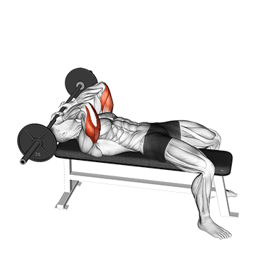 skull crusher