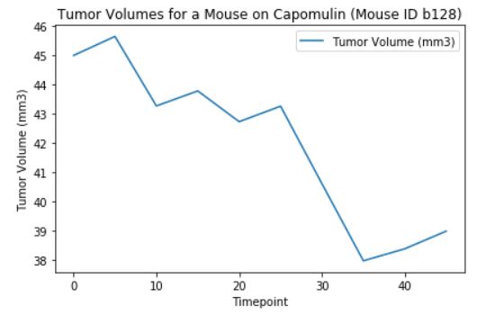 Fig2