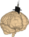 Neuroptikon Logo