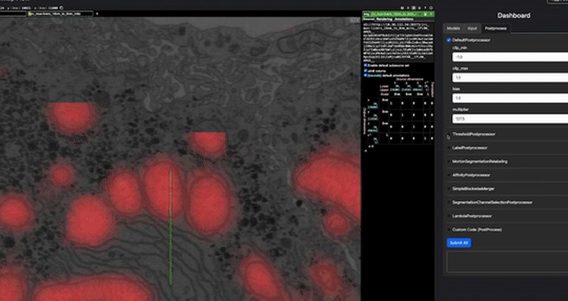 cellmap-flow: a model's predictions over an electron-microscopy volume, browsed as it predicts