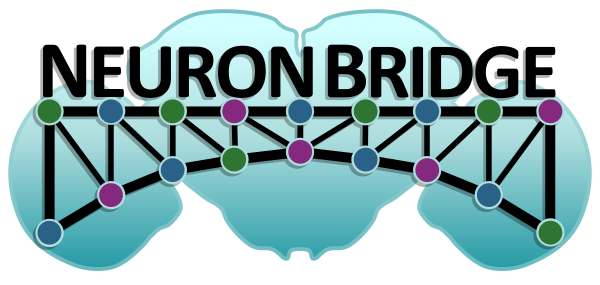 NeuronBridge logo