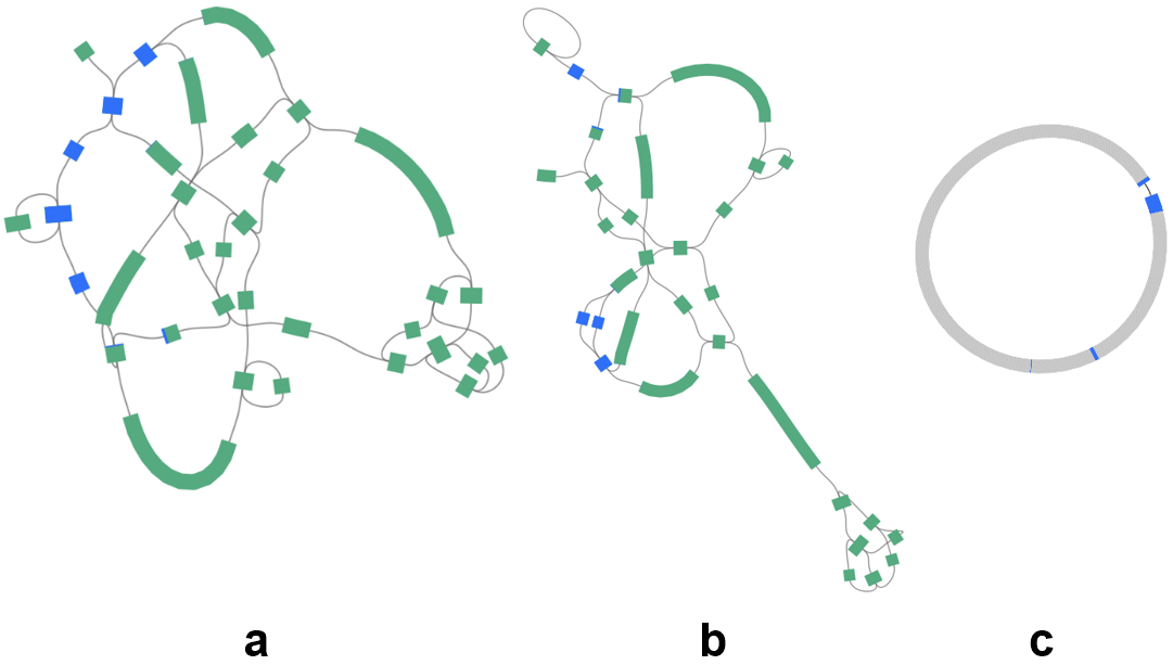 Necessity of considering the topology of circular DNA for read simulation