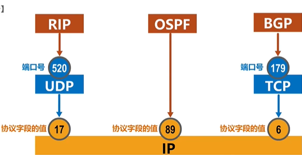 路由协议封装