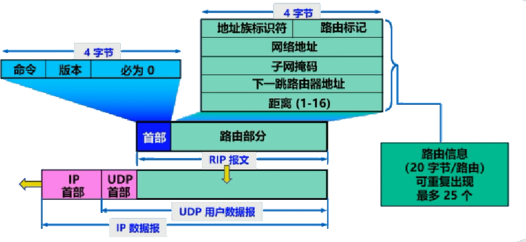 RIP2 协议报文格式