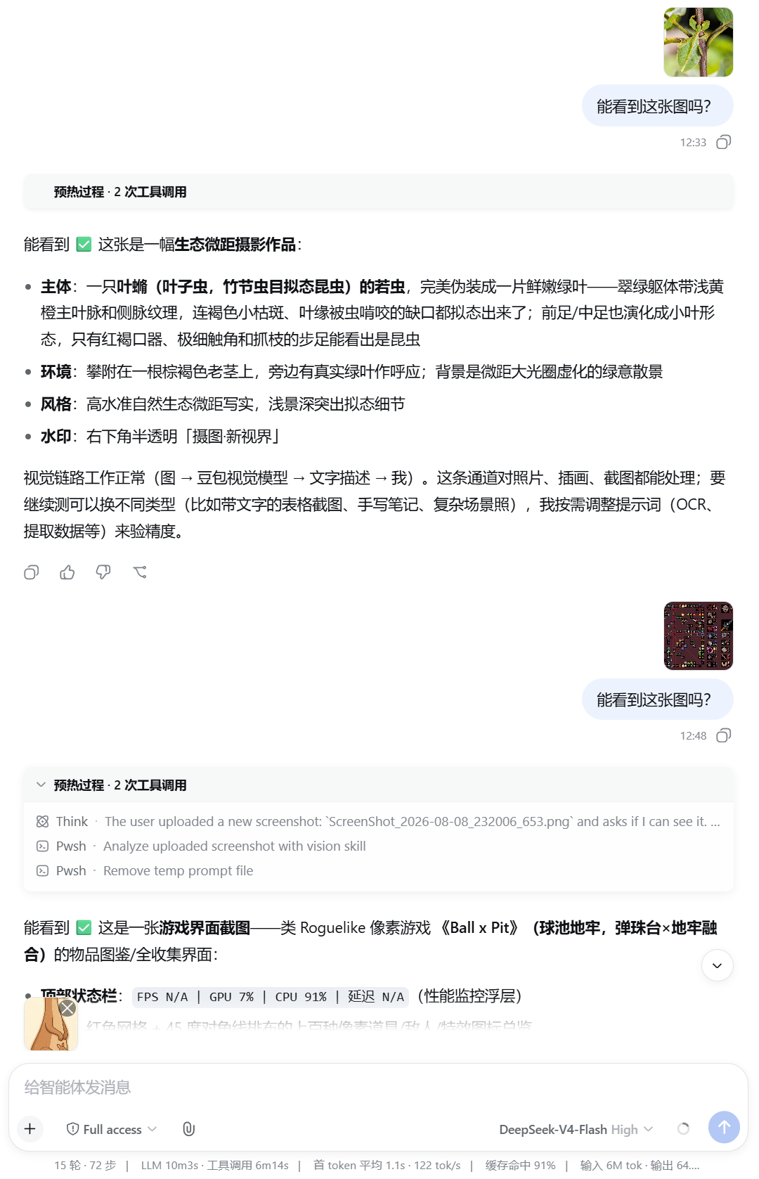 Example: pasted screenshot analyzed via image-reader skill