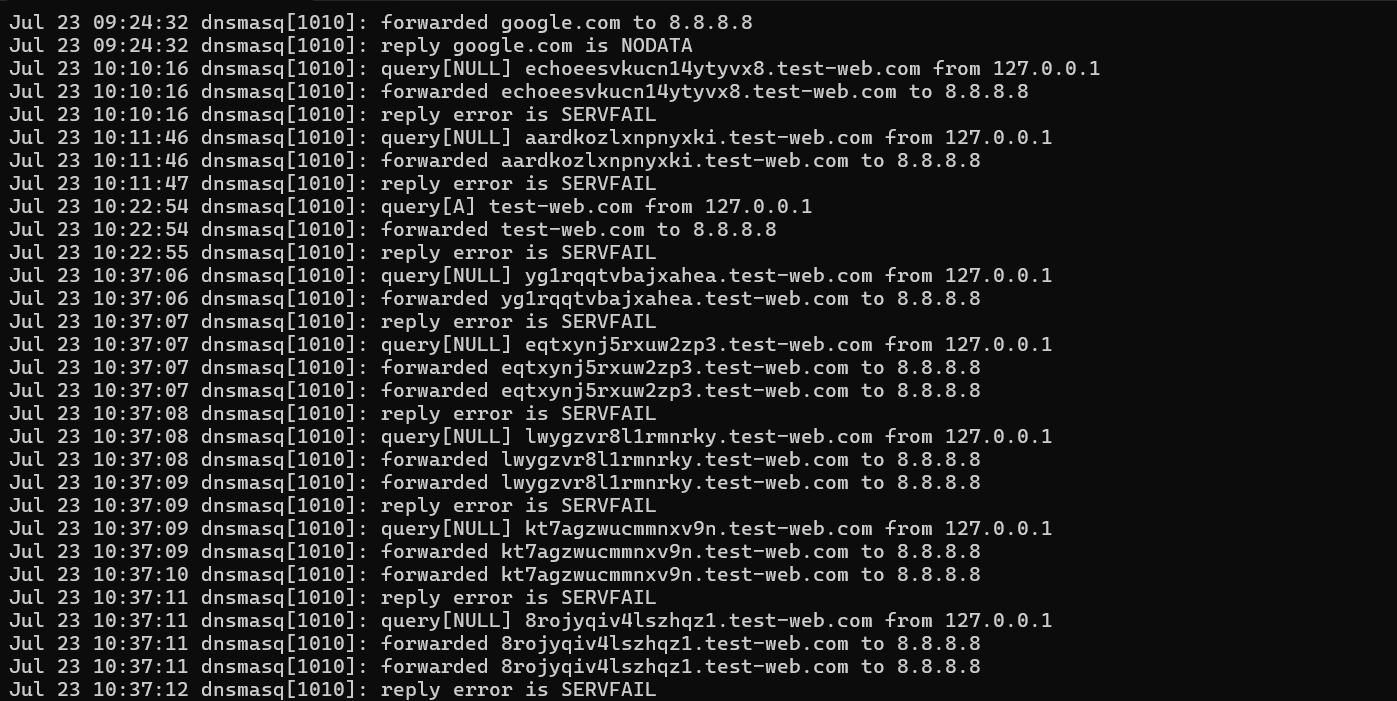 dnsmasq 日志显示带有高熵子域名的 NULL 类型查询
