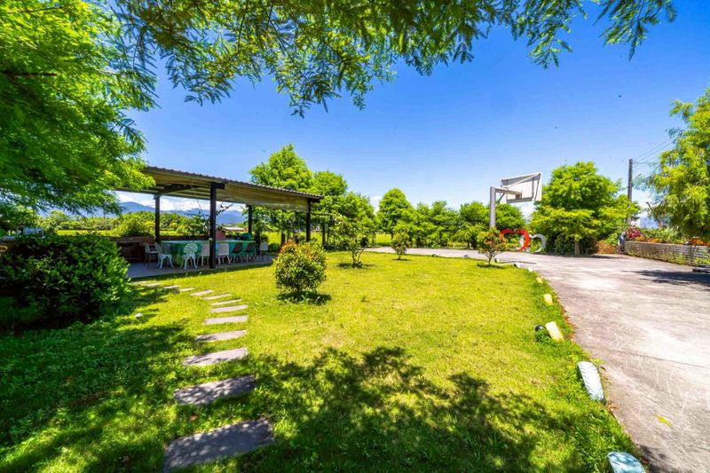 蜜雪蓮城堡 - 縮圖 5