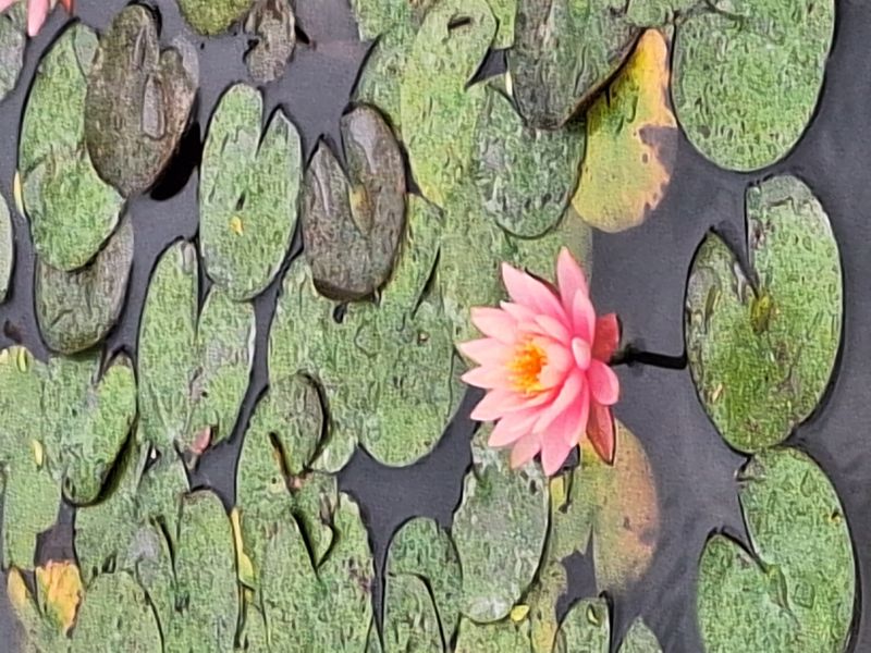 喜相逢民宿 - 主圖