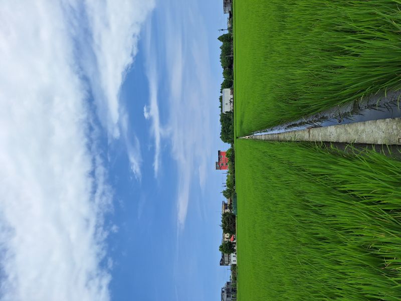 喜相逢民宿 - 縮圖 4