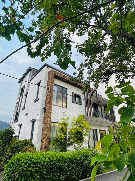 山聽樹說 - 縮圖 3