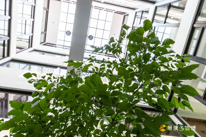 寬院子稻禾館 - 縮圖 6