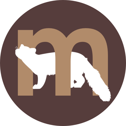 Marten